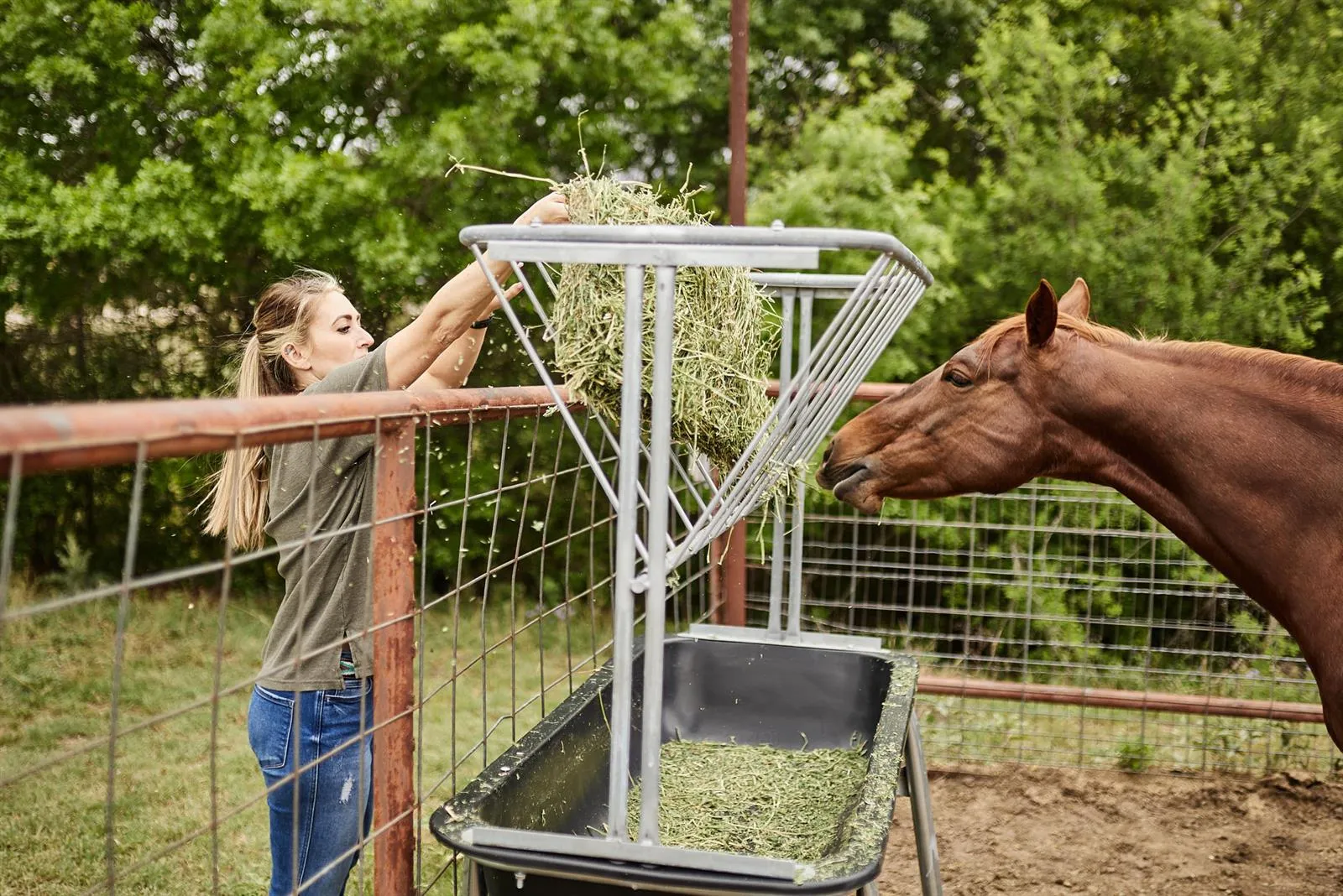 5 Foot Livestock Hay Rack