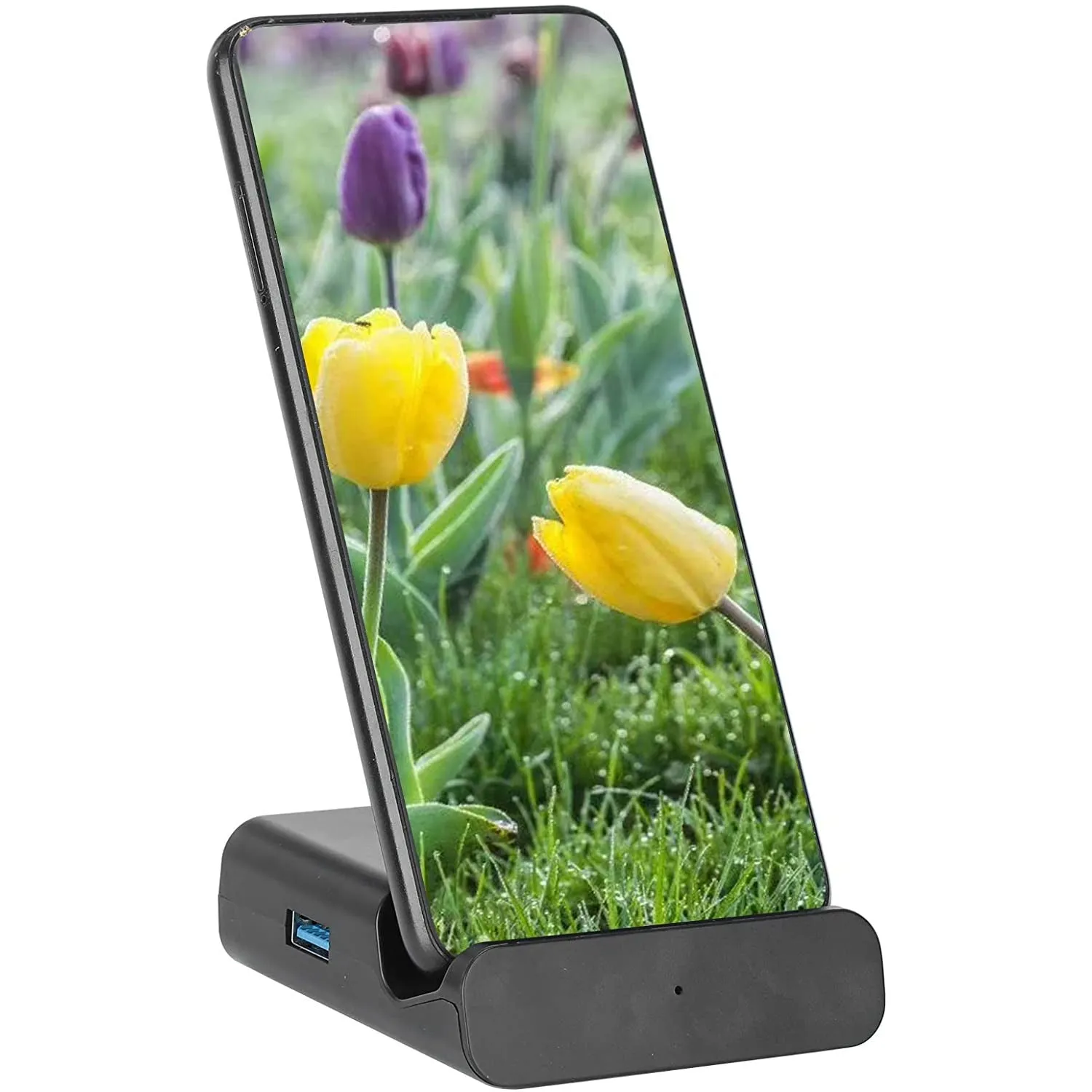 Portable Switch Charging TV Dock (Type-C)